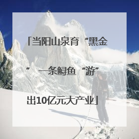 当阳山泉育“黑金” 一条鲟鱼“游”出10亿元大产业