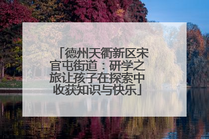 德州天衢新区宋官屯街道：研学之旅让孩子在探索中收获知识与快乐