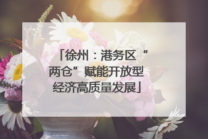 徐州：港务区“两仓”赋能开放型经济高质量发展