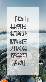 微山县傅村街道赴驩城镇开展观摩学习活动
