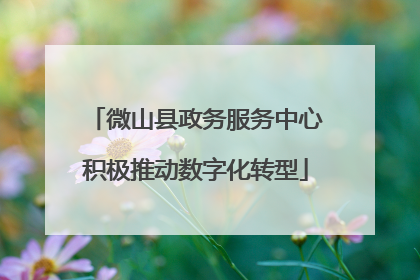 微山县政务服务中心积极推动数字化转型
