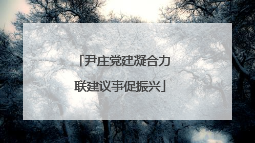 尹庄党建凝合力 联建议事促振兴
