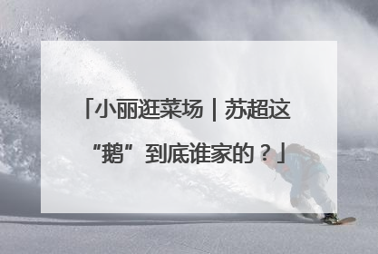 小丽逛菜场｜苏超这“鹅”到底谁家的？