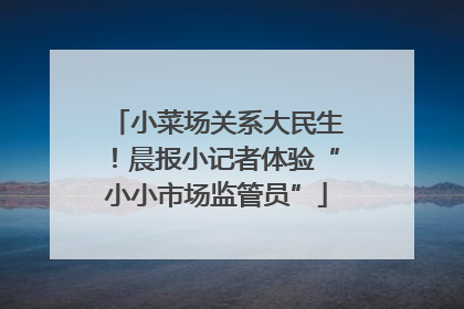 小菜场关系大民生！晨报小记者体验“小小市场监管员”