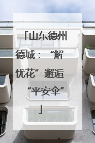 山东德州德城：“解忧花”邂逅“平安伞”