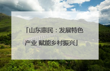 山东惠民：发展特色产业 赋能乡村振兴