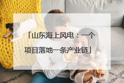 山东海上风电：一个项目落地一条产业链