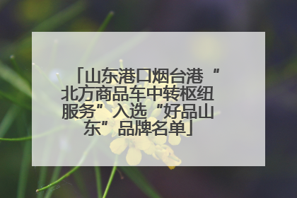 山东港口烟台港“北方商品车中转枢纽服务”入选“好品山东”品牌名单
