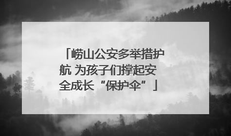 崂山公安多举措护航 为孩子们撑起安全成长“保护伞”