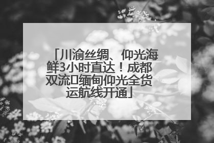 川渝丝绸、仰光海鲜3小时直达！成都双流⇌缅甸仰光全货运航线开通