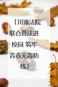 川渝法院联合普法进校园 筑牢青春无毒防线