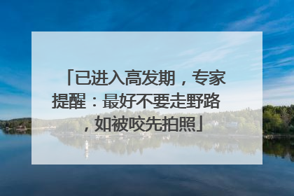 已进入高发期，专家提醒：最好不要走野路，如被咬先拍照