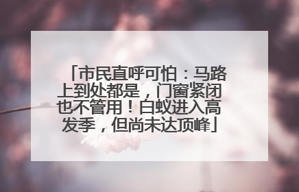 市民直呼可怕：马路上到处都是，门窗紧闭也不管用！白蚁进入高发季，但尚未达顶峰