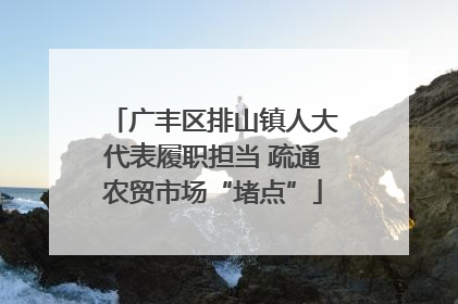 广丰区排山镇人大代表履职担当 疏通农贸市场“堵点”