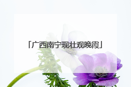 广西南宁现壮观晚霞