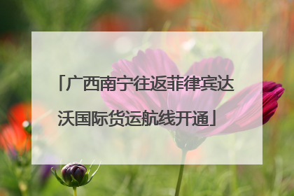 广西南宁往返菲律宾达沃国际货运航线开通