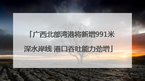 广西北部湾港将新增991米深水岸线 港口吞吐能力劲增