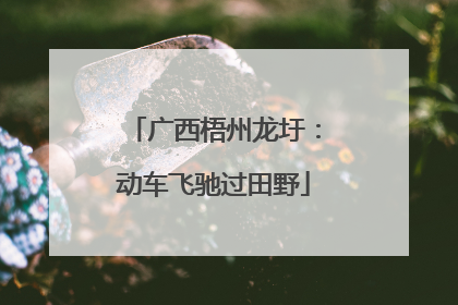 广西梧州龙圩：动车飞驰过田野
