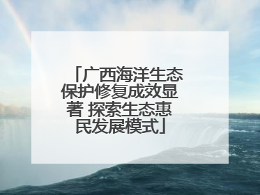 广西海洋生态保护修复成效显著 探索生态惠民发展模式