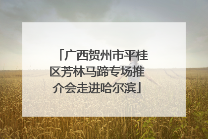 广西贺州市平桂区芳林马蹄专场推介会走进哈尔滨