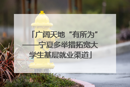 广阔天地“有所为”——宁夏多举措拓宽大学生基层就业渠道