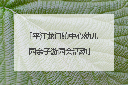 平江龙门镇中心幼儿园亲子游园会活动