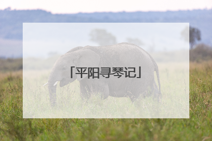 平阳寻琴记