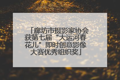 廊坊市摄影家协会获第七届“大运河春花儿”即时创意影像大赛优秀组织奖
