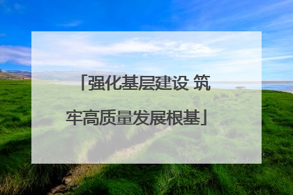 强化基层建设 筑牢高质量发展根基
