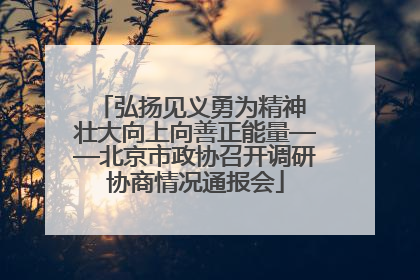 弘扬见义勇为精神 壮大向上向善正能量——北京市政协召开调研协商情况通报会