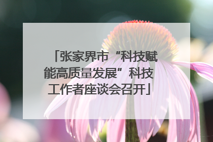 张家界市“科技赋能高质量发展”科技工作者座谈会召开