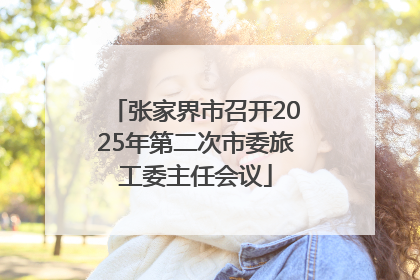 张家界市召开2025年第二次市委旅工委主任会议