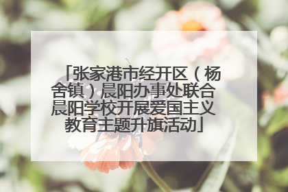 张家港市经开区（杨舍镇）晨阳办事处联合晨阳学校开展爱国主义教育主题升旗活动