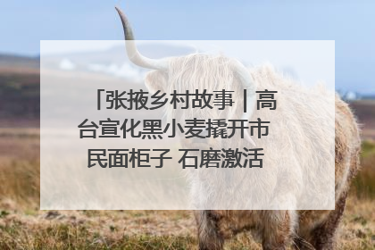 张掖乡村故事｜高台宣化黑小麦撬开市民面柜子 石磨激活村集体钱匣子