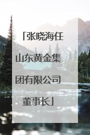 张晓海任山东黄金集团有限公司董事长