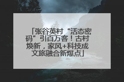 张谷英村“活态密码”引百万客！古村焕新，家风+科技成文旅融合新爆点