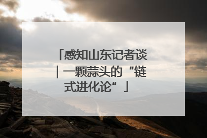 感知山东记者谈｜一颗蒜头的“链式进化论”