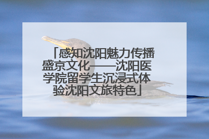 感知沈阳魅力传播盛京文化——沈阳医学院留学生沉浸式体验沈阳文旅特色