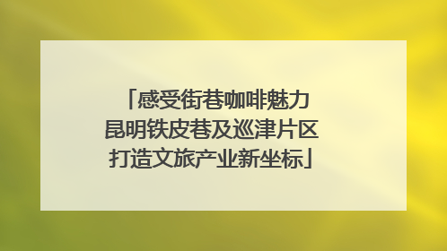 感受街巷咖啡魅力 昆明铁皮巷及巡津片区打造文旅产业新坐标