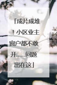 成片成堆！小区业主窗户都不敢开……问题出在这