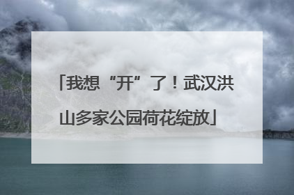 我想“开”了！武汉洪山多家公园荷花绽放