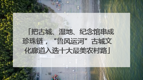 把古城、湿地、纪念馆串成珍珠链，“鲁风运河”古城文化廊道入选十大最美农村路
