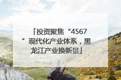 投资聚焦“4567”现代化产业体系，黑龙江产业换新景