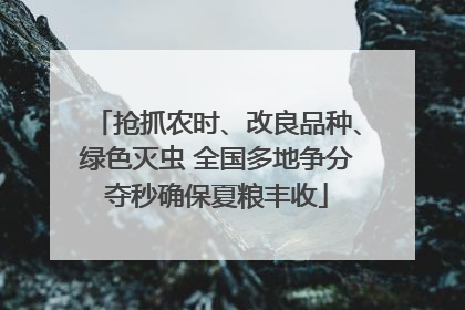 抢抓农时、改良品种、绿色灭虫 全国多地争分夺秒确保夏粮丰收