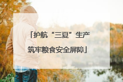 护航“三夏”生产 筑牢粮食安全屏障