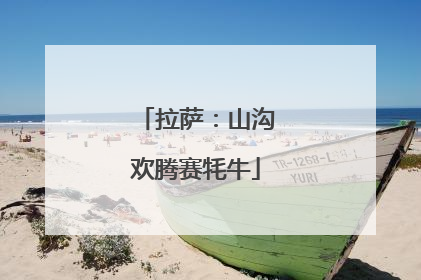 拉萨：山沟欢腾赛牦牛
