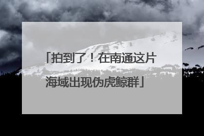 拍到了！在南通这片海域出现伪虎鲸群