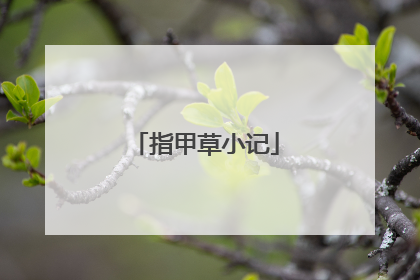 指甲草小记