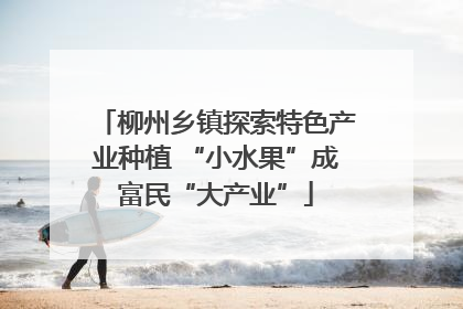 柳州乡镇探索特色产业种植 “小水果”成富民“大产业”