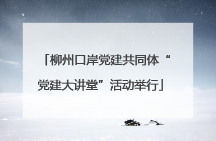 柳州口岸党建共同体“党建大讲堂”活动举行